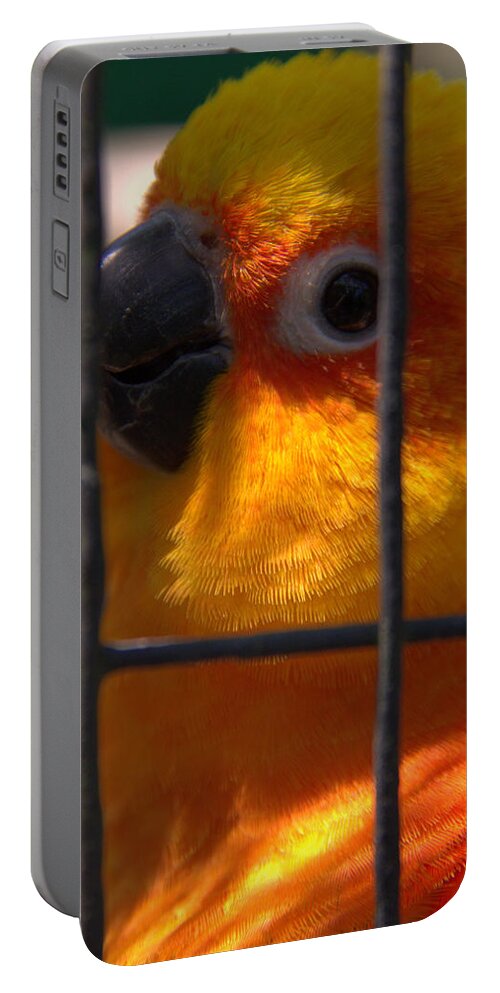 Snuggles Portable Battery Charger featuring the photograph Snuggles by Edward Smith