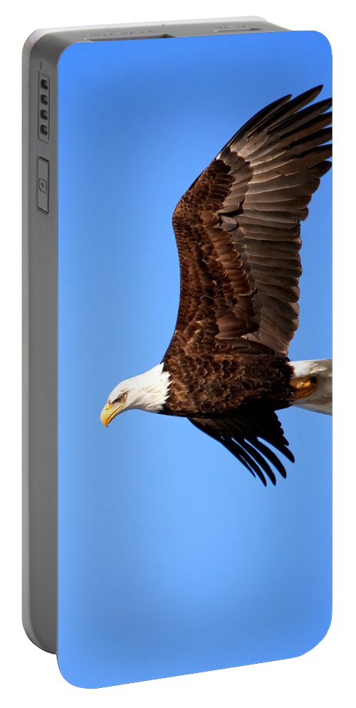 Bald Eagle Portable Battery Charger featuring the photograph Soaring Bald Eagle by Al Mueller