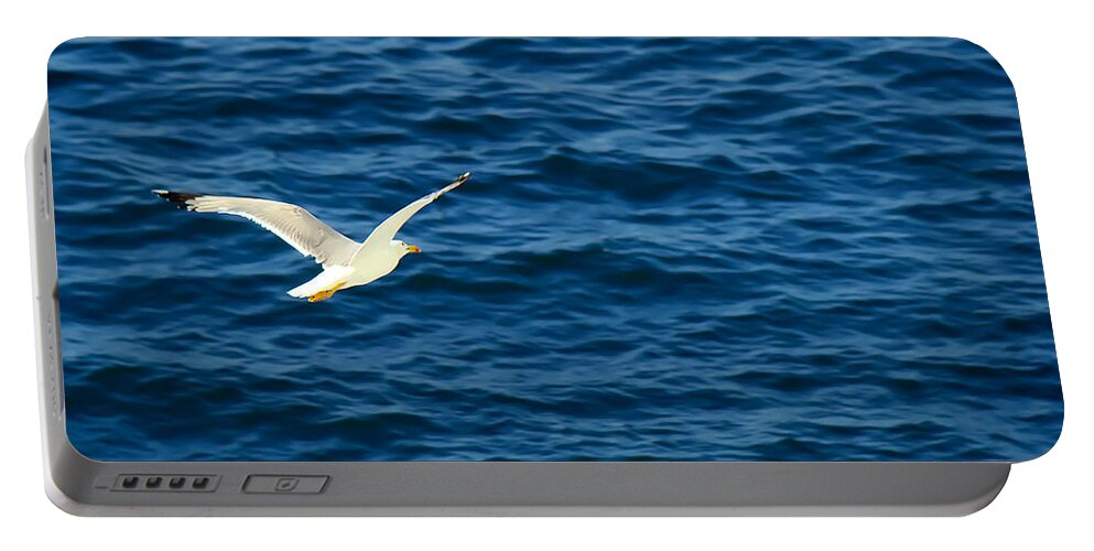Bird Portable Battery Charger featuring the photograph Soaring over the Mediterranean by Sue Melvin