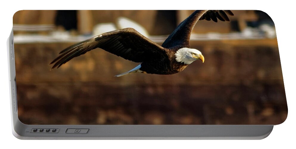 Bald Eagle Portable Battery Charger featuring the photograph Soaring by Peter Ponzio