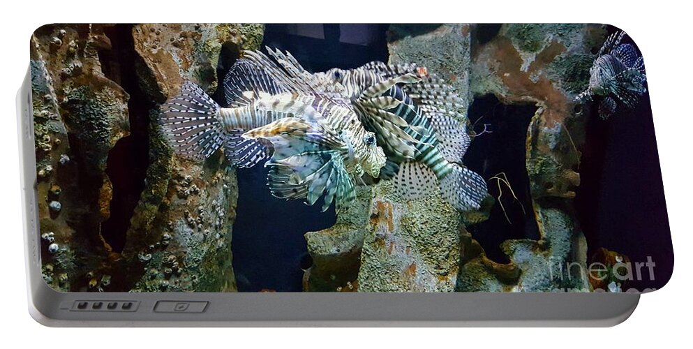 Water Portable Battery Charger featuring the photograph Socializing Fish by Jimmy Clark