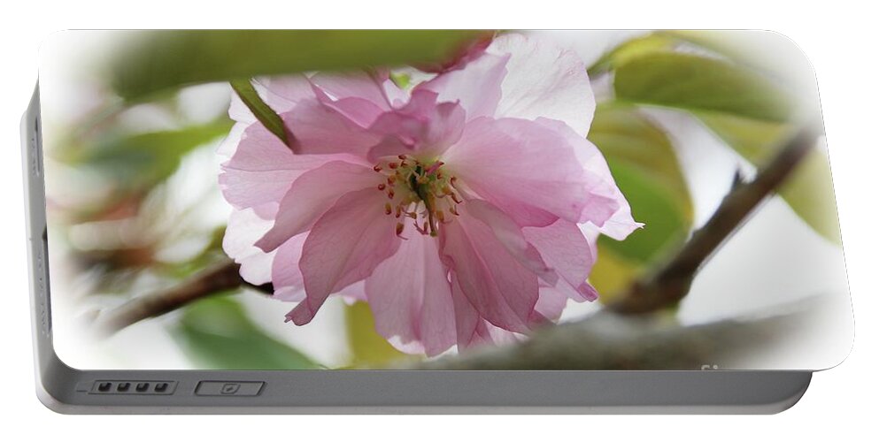 Flowers Portable Battery Charger featuring the photograph Soft and Gentle by Yumi Johnson