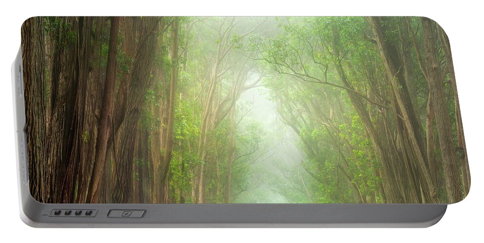Landscape Portable Battery Charger featuring the photograph Soft Forest Light by Christopher Johnson