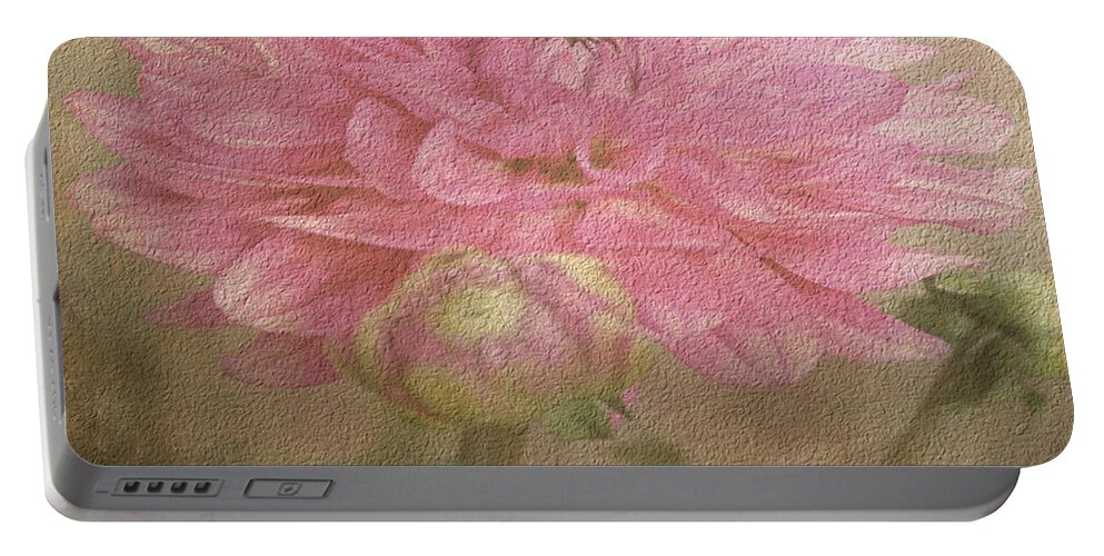 Dahlia Portable Battery Charger featuring the photograph Soft Graceful Pink Painted Dahlia by Judy Palkimas