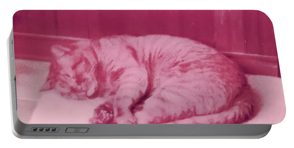 Cat Portable Battery Charger featuring the photograph Soft Kitty Warm Kitty by Stacie Siemsen