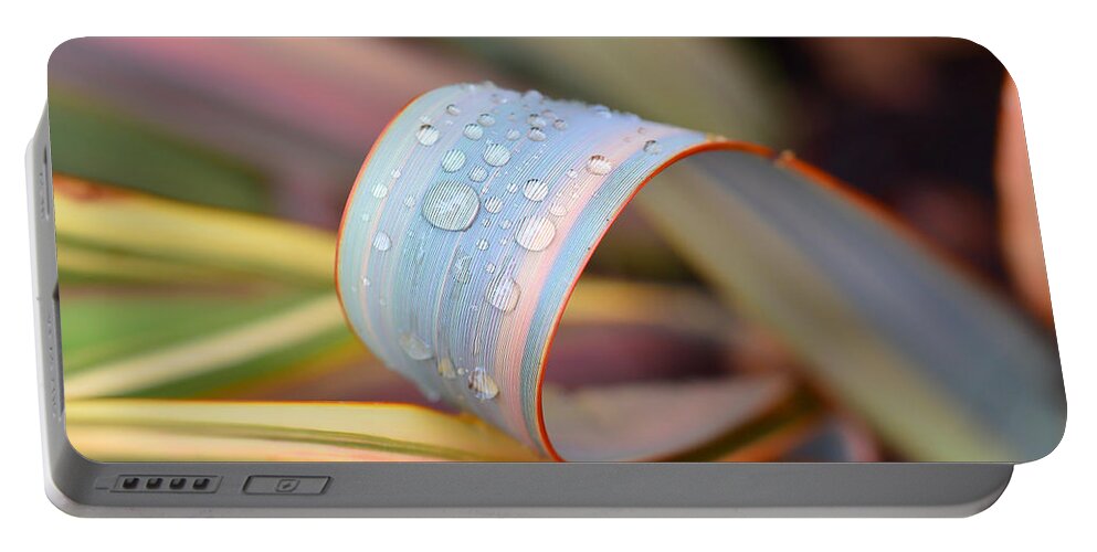 Dew Portable Battery Charger featuring the photograph Soft Like Morning Dew by Donna Blackhall