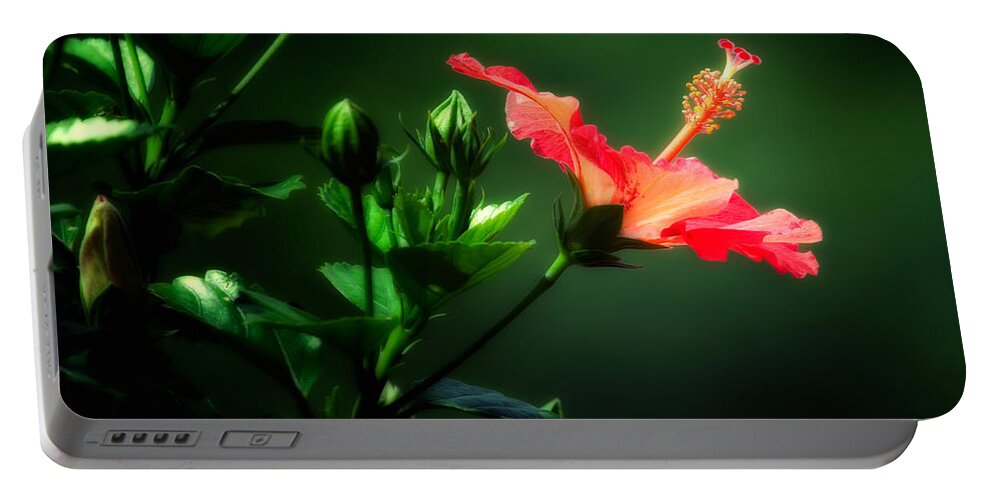 Hibiscus Plant Portable Battery Charger featuring the photograph Soft red Hibiscus plant by Al Mueller