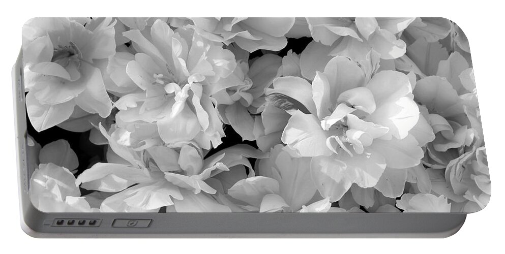 Tulips Portable Battery Charger featuring the photograph Soft Whites by Deborah Crew-Johnson