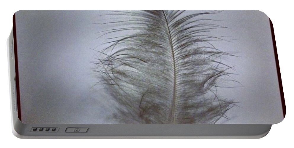 Feather Portable Battery Charger featuring the photograph Softly As You Go by Denise Railey
