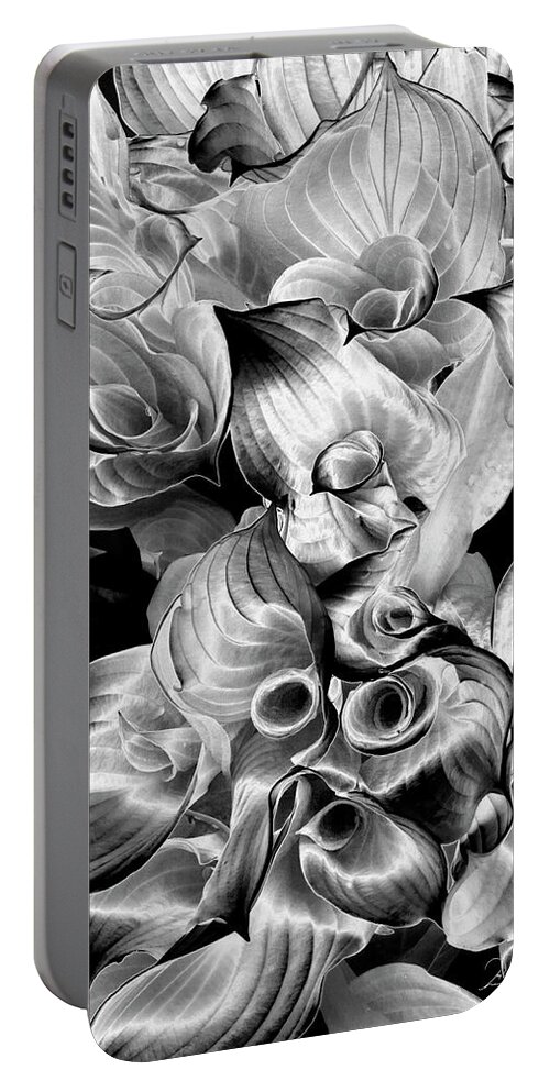 Black & White Portable Battery Charger featuring the photograph Solarized Hosta by Frederic A Reinecke