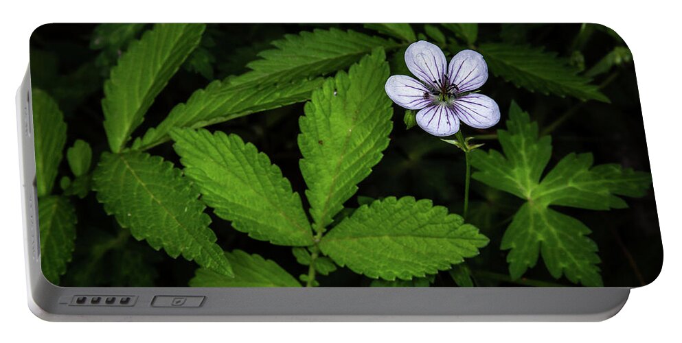 Background Portable Battery Charger featuring the photograph Solitary Flower by Dennis Swena