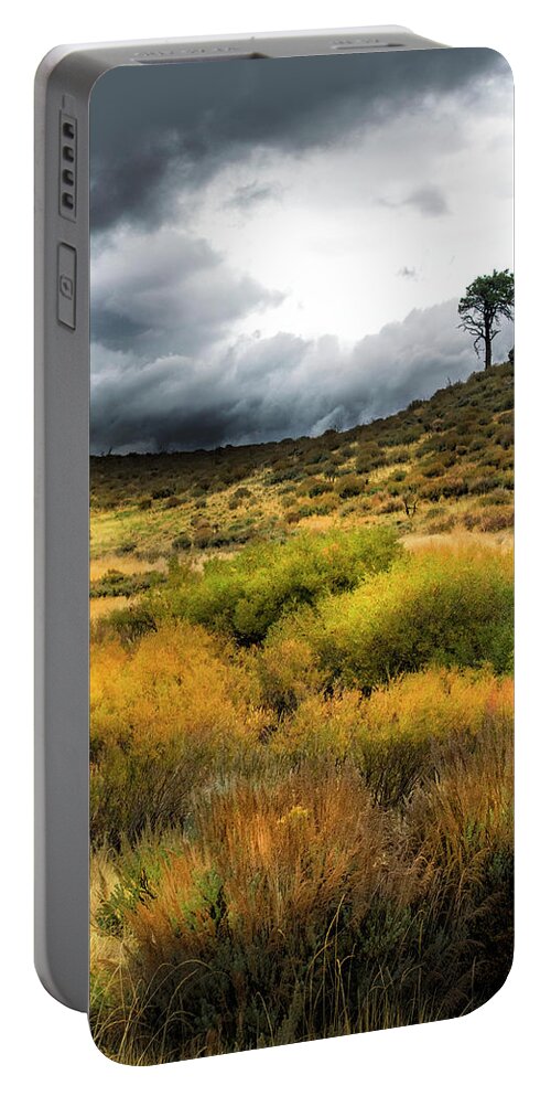 Solitary Pine Portable Battery Charger featuring the photograph Solitary Pine by Frank Wilson
