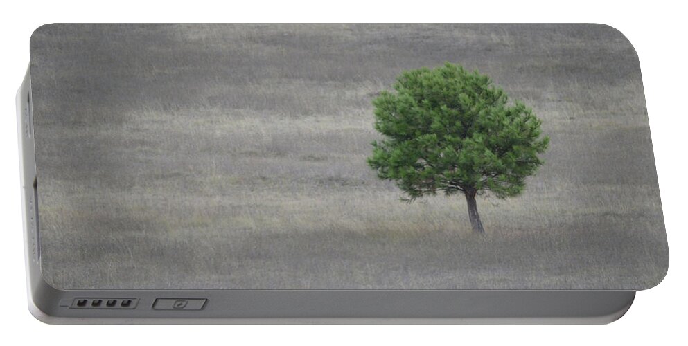 Solitary Portable Battery Charger featuring the photograph Solitary Tree by Whispering Peaks Photography