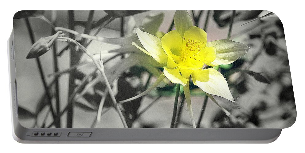 Columbine Portable Battery Charger featuring the photograph Solo by Clarice Lakota