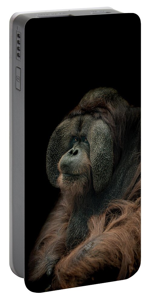 Orangutan Portable Battery Charger featuring the photograph Somber by Paul Neville