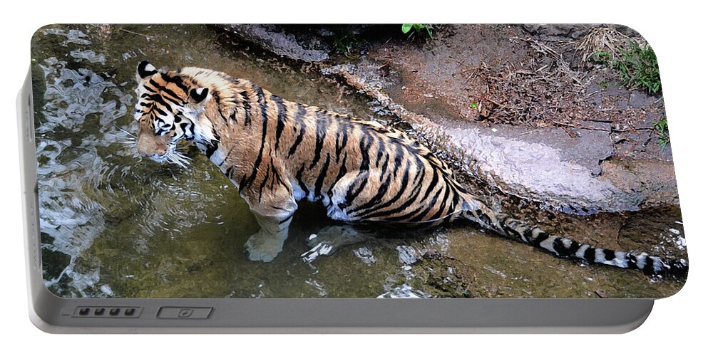 Tiger Portable Battery Charger featuring the photograph Some Cats Like Water by Angelina Tamez