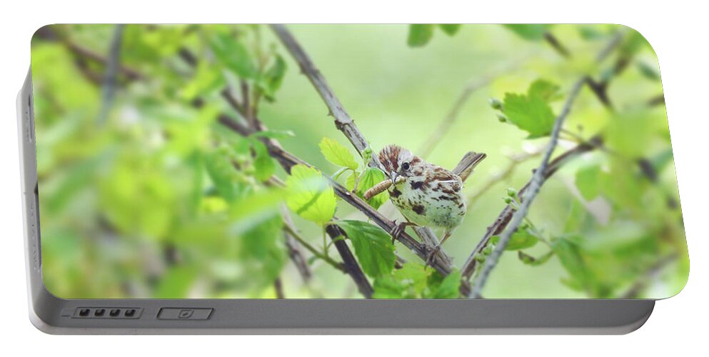 Song Sparrow Portable Battery Charger featuring the photograph Song Sparrow with Dinner by Kerri Farley