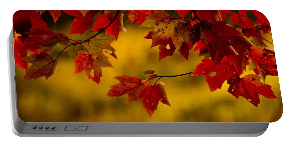 Autumn Color Portable Battery Charger featuring the photograph Soon Enough by Albert Seger