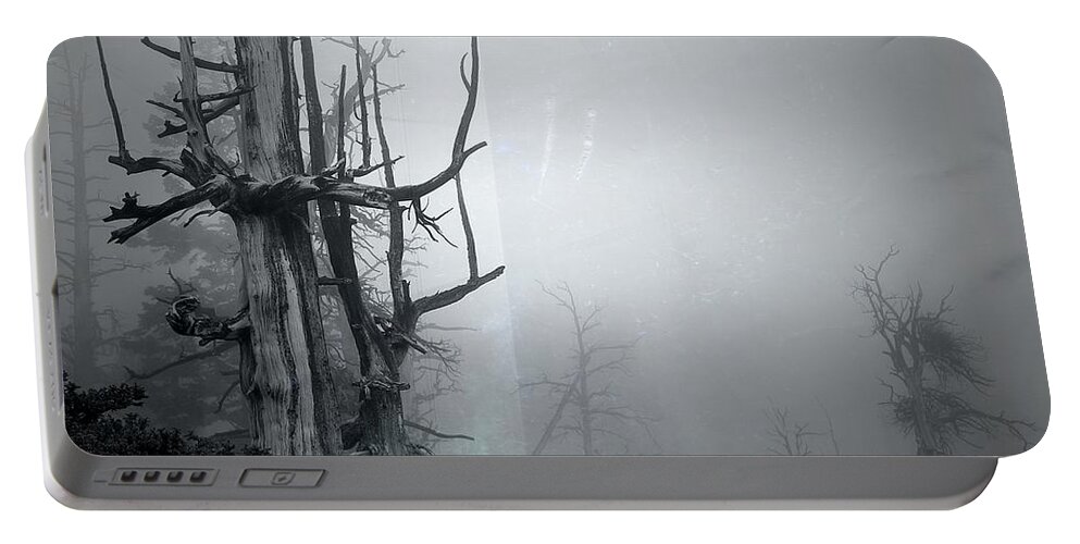 Trees Portable Battery Charger featuring the photograph Souls by Mark Ross
