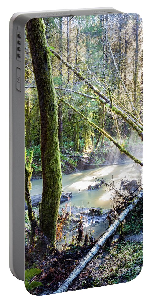 River Portable Battery Charger featuring the photograph South Fork by Mark Alder