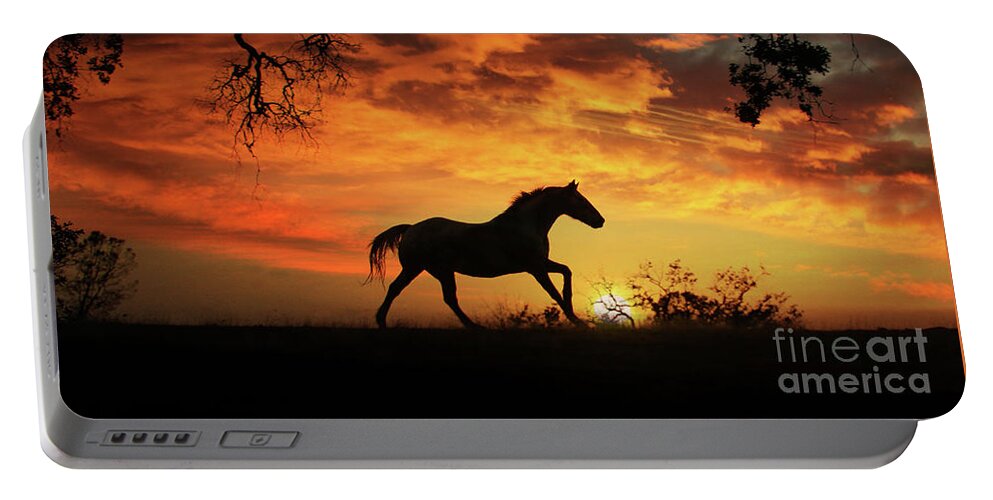 Horse Portable Battery Charger featuring the photograph Southwestern Sunset by Stephanie Laird