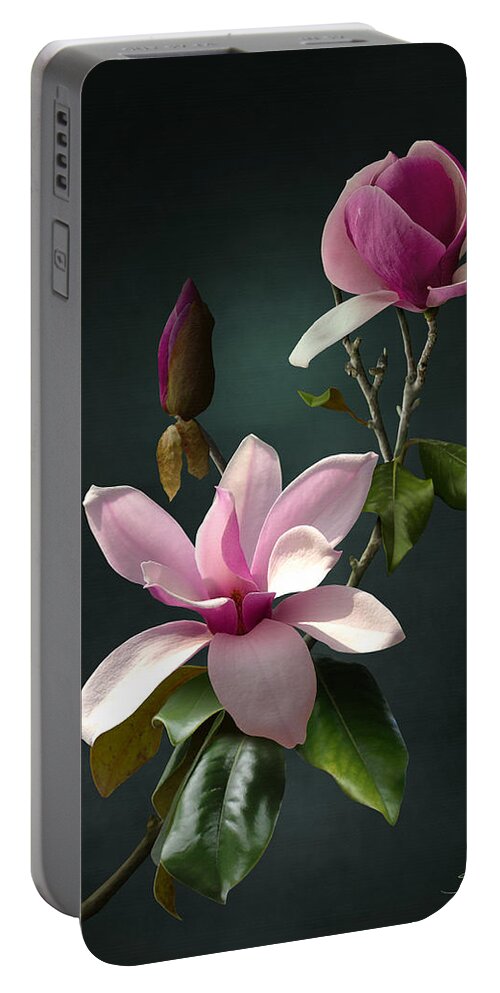 Flowers Portable Battery Charger featuring the digital art Spade's Pink Magnolias by M Spadecaller