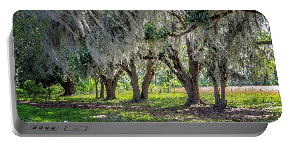 North Port Florida Portable Battery Charger featuring the photograph Spanish Moss by Tom Singleton