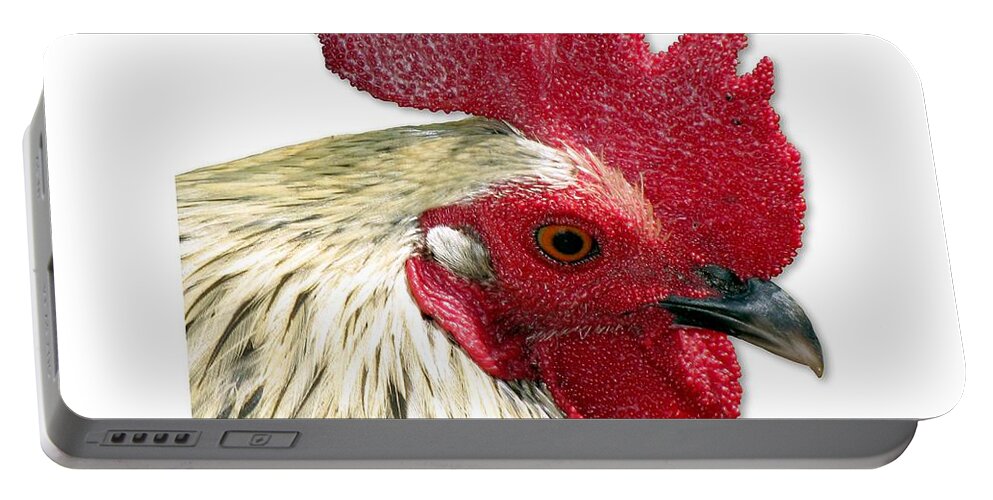 Key West Portable Battery Charger featuring the photograph Special Edition Key West Rooster by Bob Slitzan