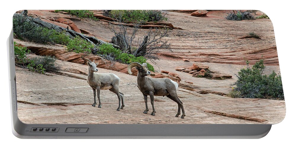Zion Portable Battery Charger featuring the photograph Spectators by Jim Cook