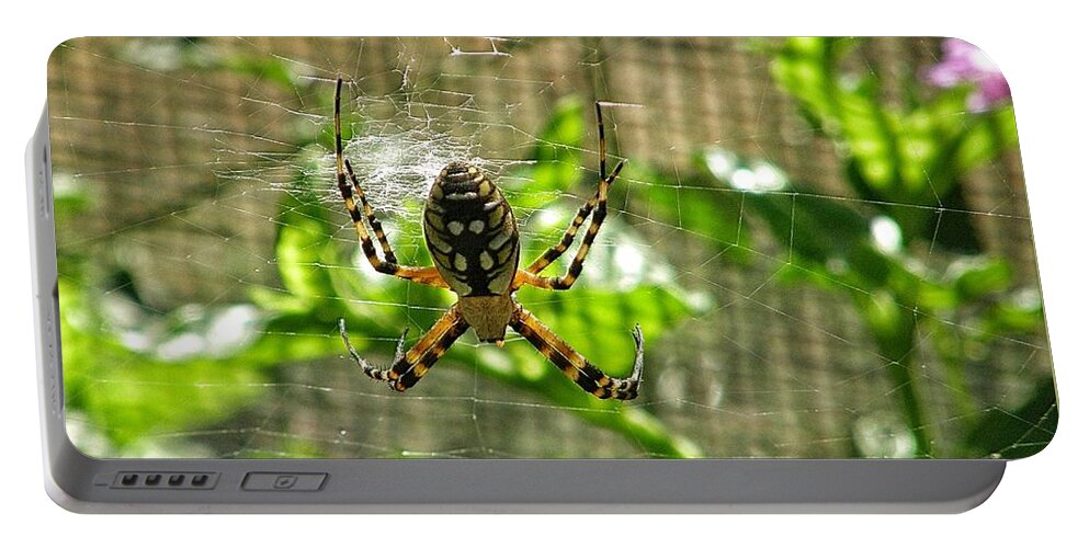 Spider With Big Abdomen Portable Battery Charger featuring the photograph Spider With Nice Abs by Leah McPhail