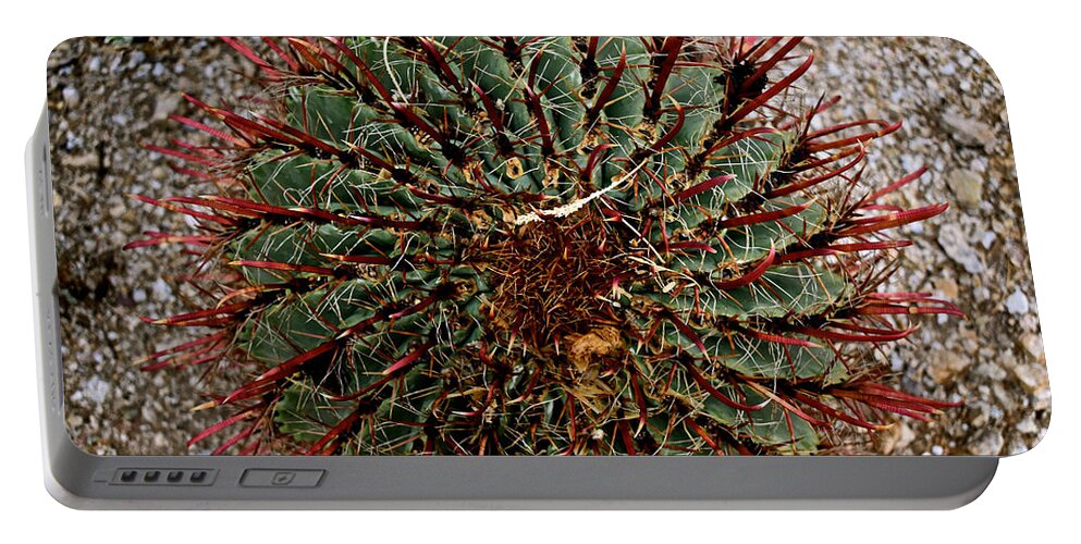 Cactus Portable Battery Charger featuring the photograph Spin by Melisa Elliott