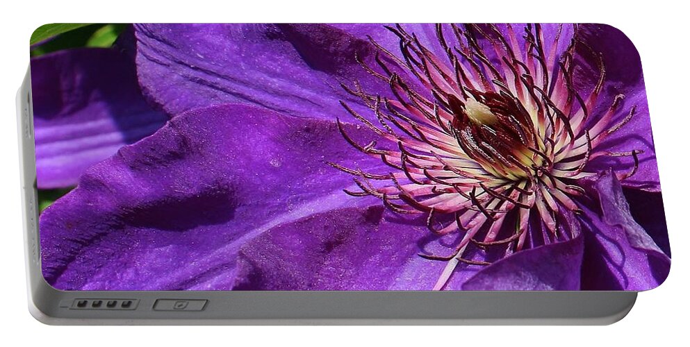 Flora Portable Battery Charger featuring the photograph Splash of Purple by Bruce Bley