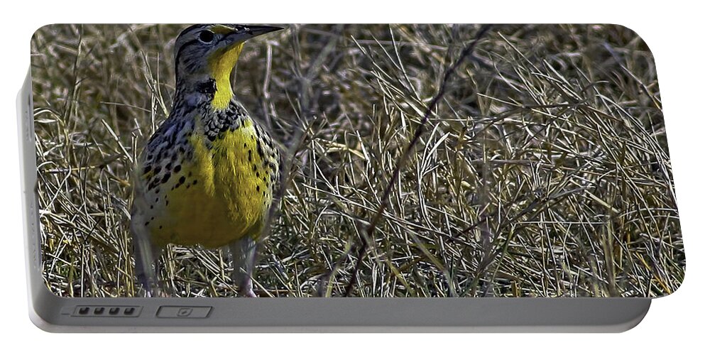 Splendor In The Grass Portable Battery Charger featuring the photograph Splendor in the Grass by Gary Holmes