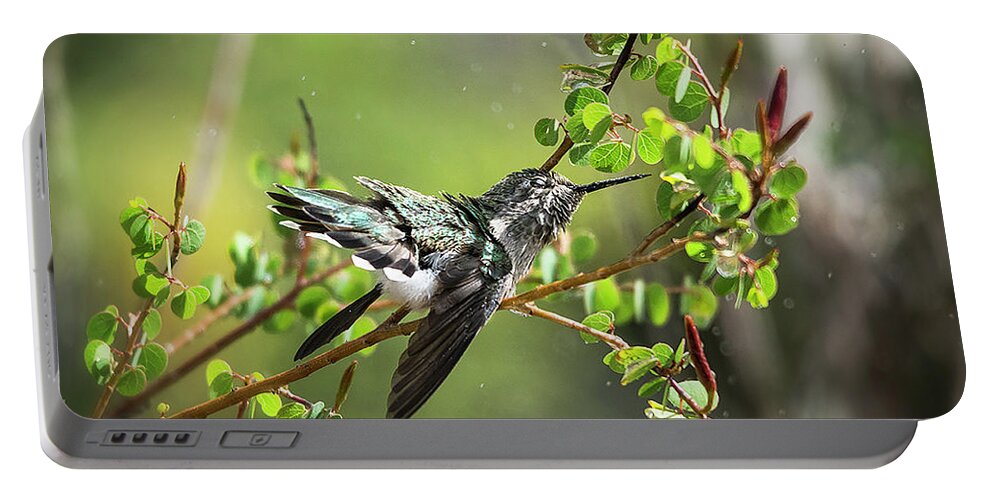 Hummingbird Portable Battery Charger featuring the photograph Splish Splash Hummingbird by Saija Lehtonen