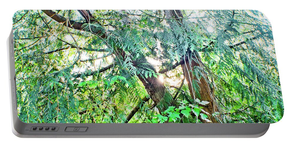 Adria Trail Portable Battery Charger featuring the photograph Split Cedar by Adria Trail