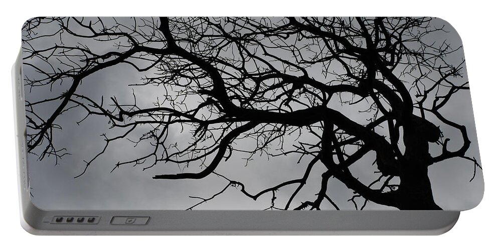 Tree Portable Battery Charger featuring the photograph Spooky Tree by Carol Eliassen