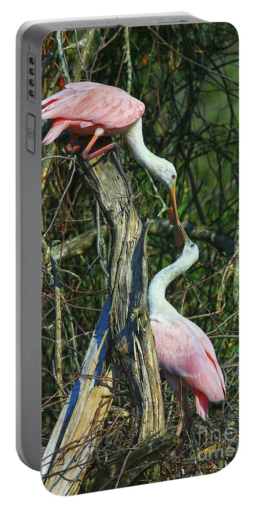 Spoonbill Portable Battery Charger featuring the photograph Spoonbill Kiss by Deborah Benoit