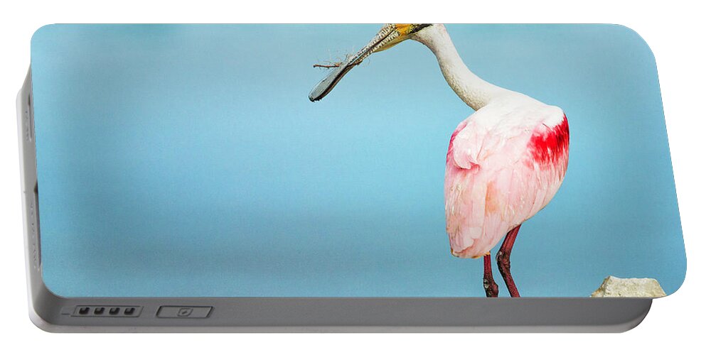 Roseate Portable Battery Charger featuring the photograph Spoonbill Nesting by Fran Gallogly