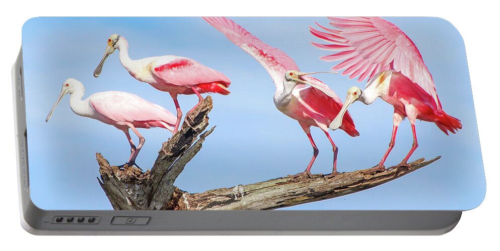 Roseate Spoonbill Portable Battery Charger featuring the photograph Spoonbill Party by Mark Andrew Thomas
