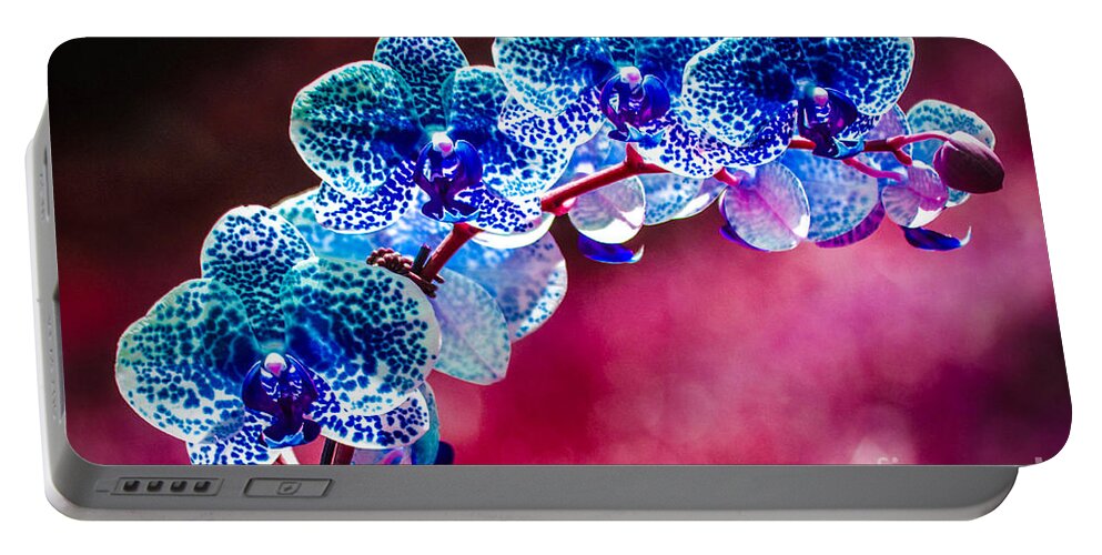  Orchid Portable Battery Charger featuring the photograph Spotted blue orchid by Gerald Kloss