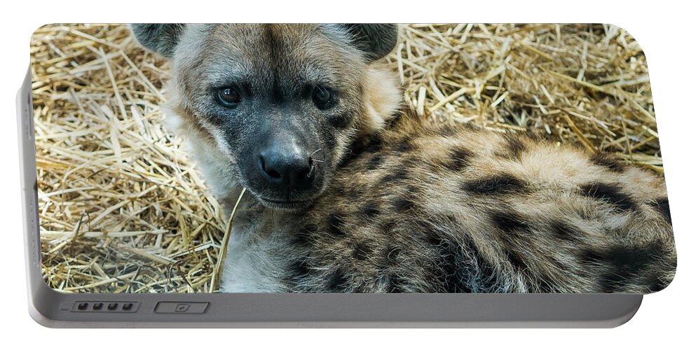Australia Portable Battery Charger featuring the photograph Spotted Hyena by Steven Ralser