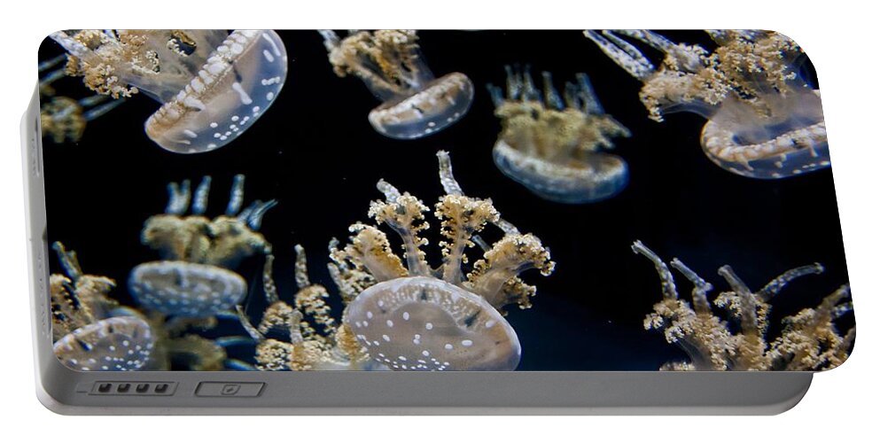 Photography By Suzanne Stout Portable Battery Charger featuring the photograph Spotted Lagoon Jellies by Suzanne Stout