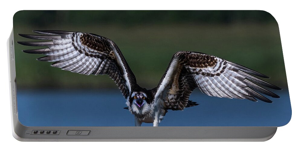 Photograph Portable Battery Charger featuring the photograph Spread Your Wings by Cindy Lark Hartman