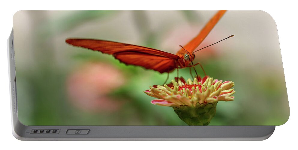 Butterfly Portable Battery Charger featuring the photograph Spread your Wings by Mary Anne Delgado