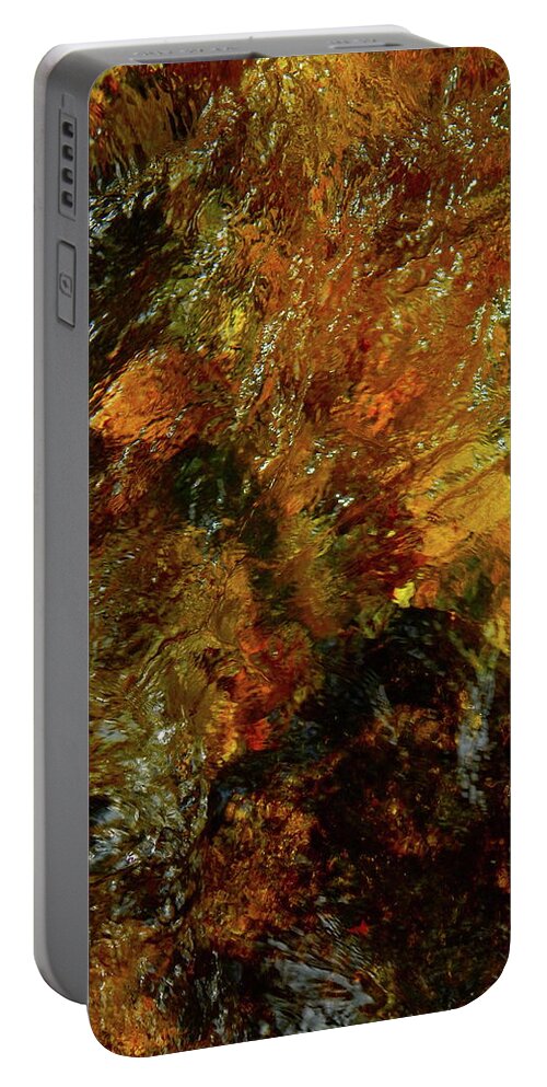 Color Close-up Landscape Portable Battery Charger featuring the photograph Spring 2017 108 by George Ramos