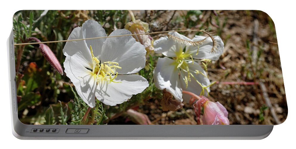Landscape Portable Battery Charger featuring the photograph Spring at Last by Ron Cline