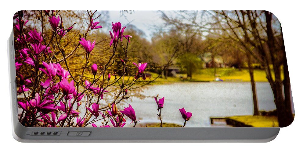 Spring Portable Battery Charger featuring the photograph Spring Awakens - Landscape by Barry Jones