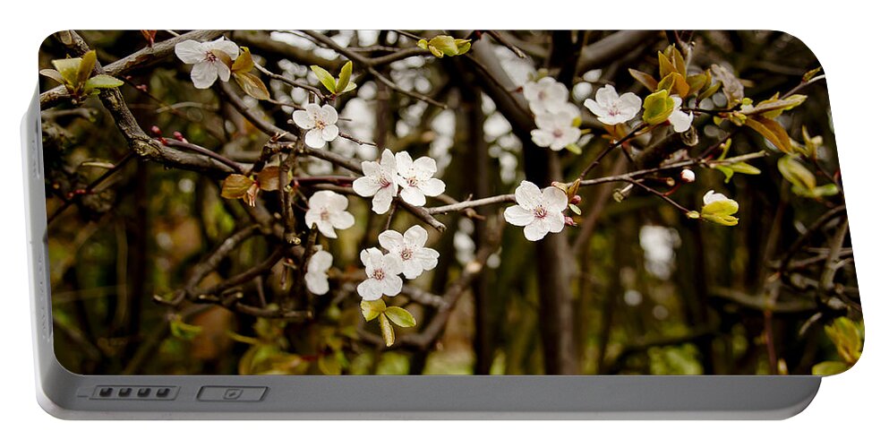 Bare Portable Battery Charger featuring the photograph Spring bloom. by Elena Perelman