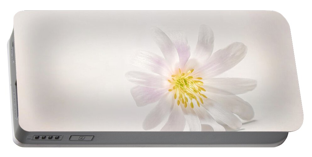 Blossom Portable Battery Charger featuring the photograph Spring Blossom by Scott Norris
