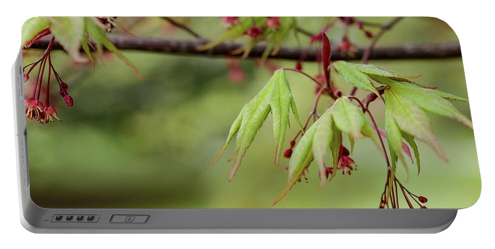 Spring Portable Battery Charger featuring the photograph Spring Blossoms by Holly Ross